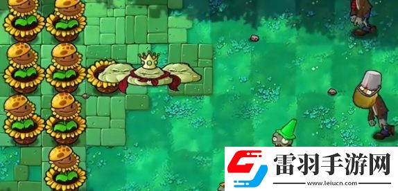 植物大战僵尸杂交版挑战模式第十六关怎么过