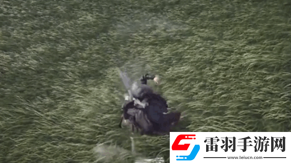 燕云十六声凌云踏奇术怎么样