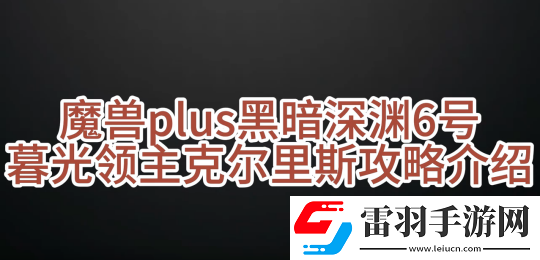 描述