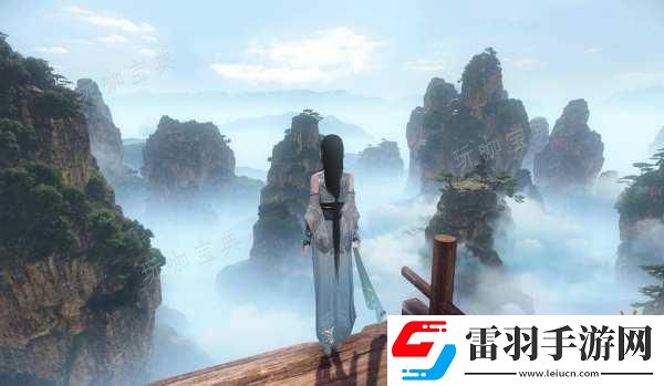 新手必读