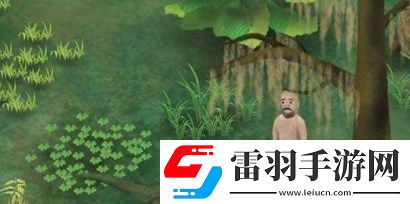 挨饿荒野非洲平原石头位置在哪