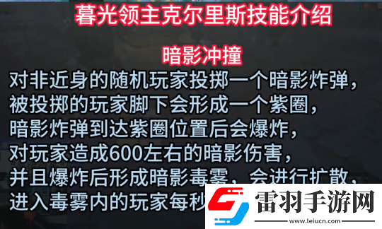 描述