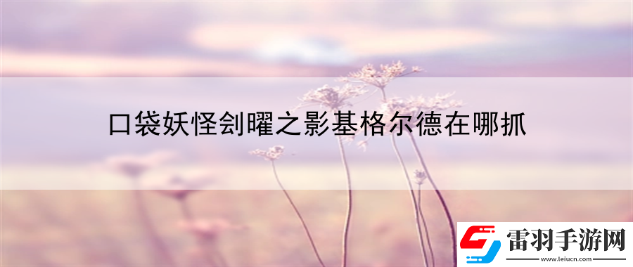 口袋妖怪刽曜之影基格尔德在哪抓