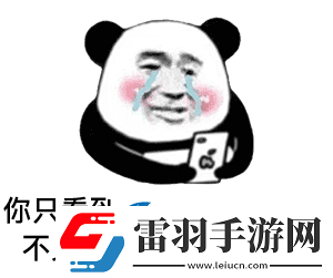 你只看到屏幕上的字却看不见我滴在屏幕上的泪表情包图片