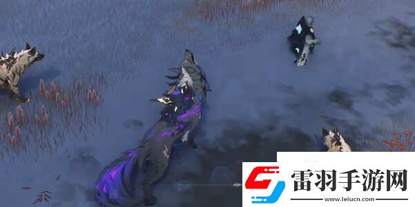 鸣潮本跃动吧龟乐团任务怎么做