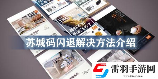 苏城码闪退怎么回事