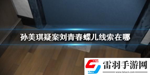 孙美琪疑案刘青春蝶儿线索在哪