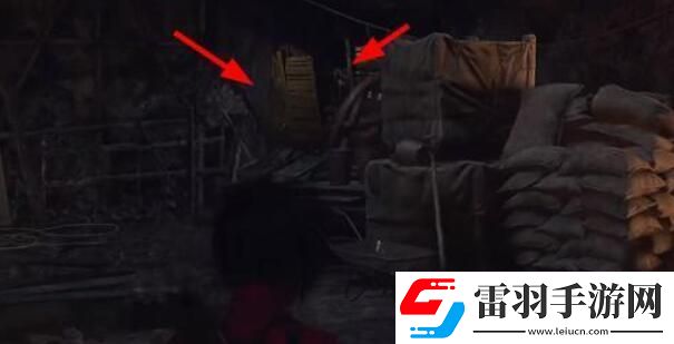 生化危机4重制版艾达王dlc铲虫行动攻略艾达王dlc铲虫行动攻略