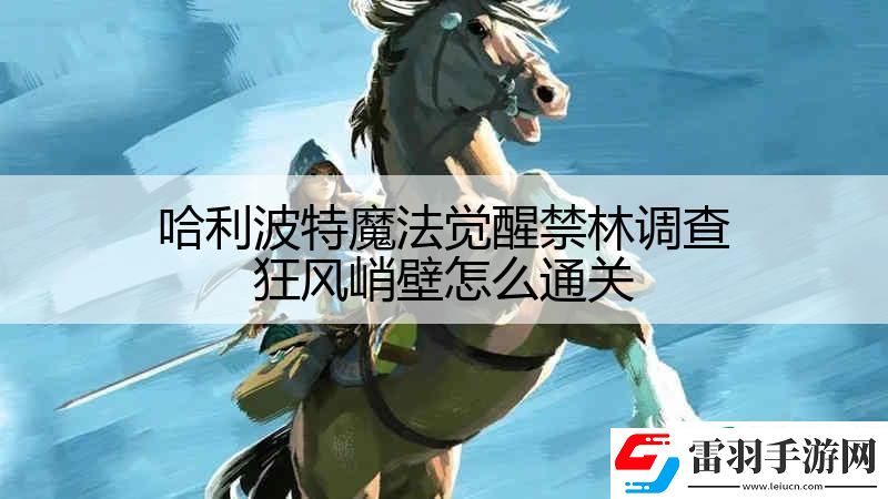 哈利波特魔法觉醒禁林调查狂风峭壁怎么通关