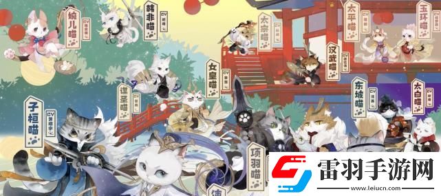 以灵猫传如何分配养猫卡