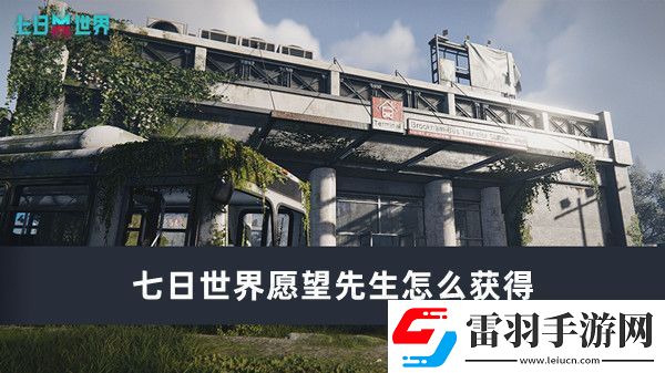 七日世界愿望先生怎么获得
