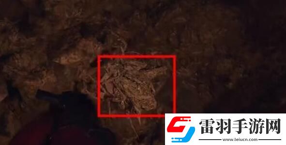 生化危机4重制版艾达王dlc铲虫行动攻略艾达王dlc铲虫行动攻略