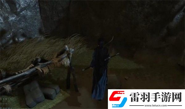 燕云十六声菩提苦海难因善果任务怎么做