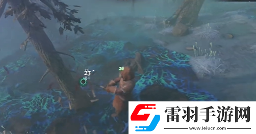 雾锁王国碎布料怎么获取