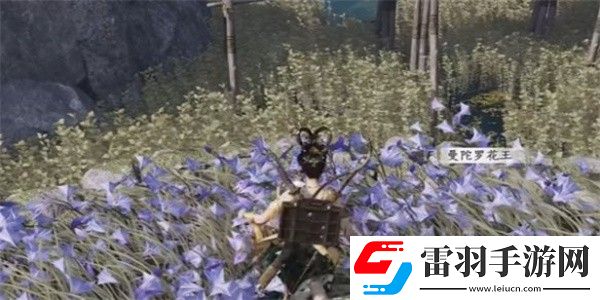 燕云十六声纸人夭奇遇怎么做