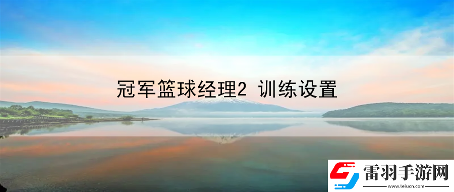 冠军篮球经理2训练设置