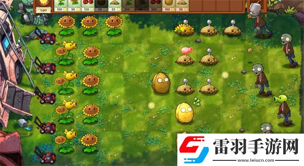 植物大战僵尸融合版冒险模式第4关怎么过