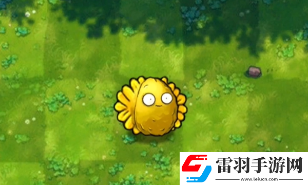 植物大战僵尸融合版阳光坚果有什么用