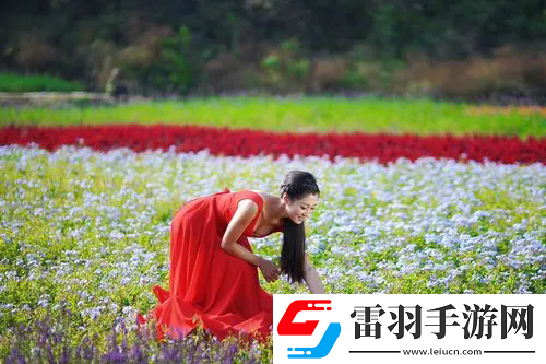 红尘影院手机在线观看：高质量内容和流畅播放体验，热门影片推荐与观影指南！