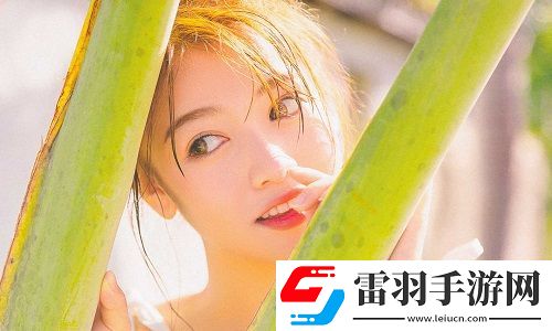 免费开放的api大全