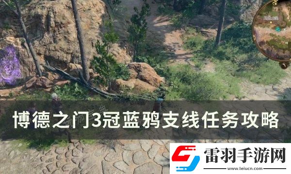 战斗要点