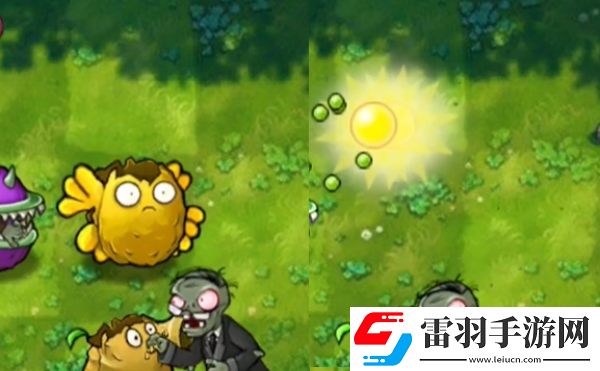 植物大战僵尸融合版阳光坚果有什么用