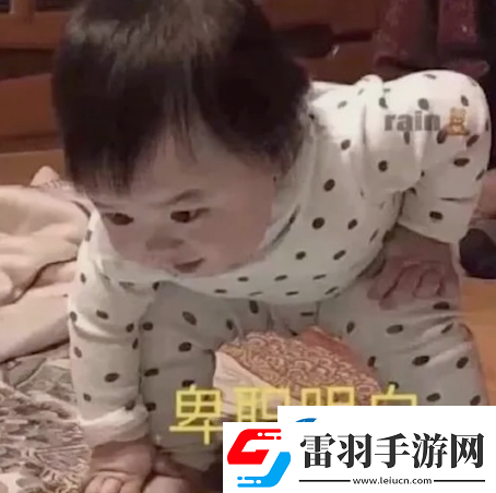 参见老婆表情包