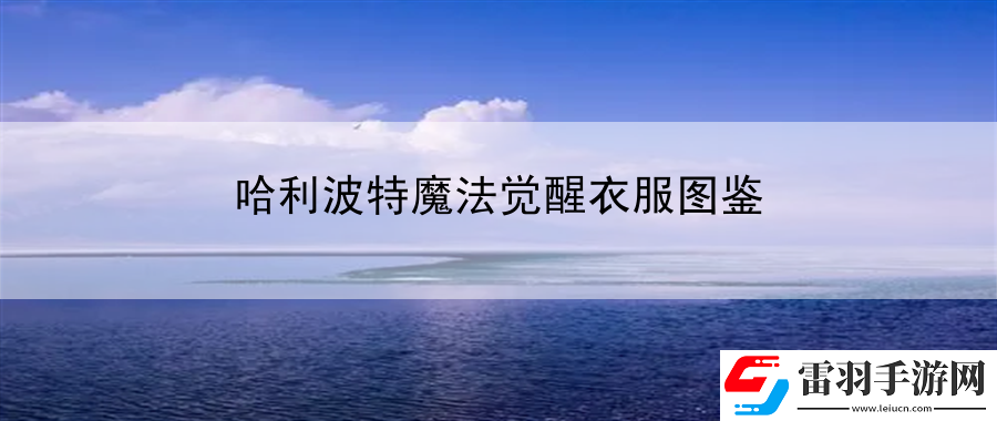 哈利波特魔法觉醒衣服图鉴
