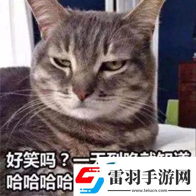参见老婆表情包