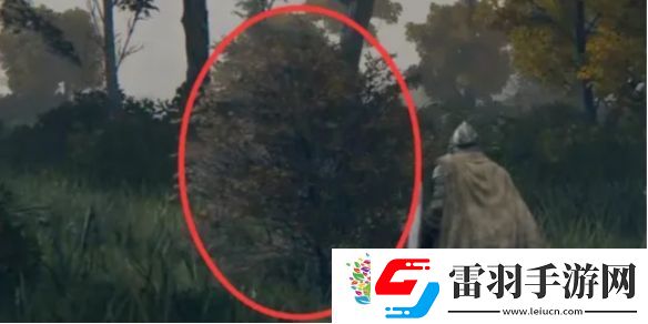 艾尔登法环鸟瞰镜附近的人介绍