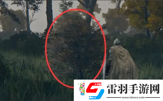 艾尔登法环鸟瞰镜附近的人介绍