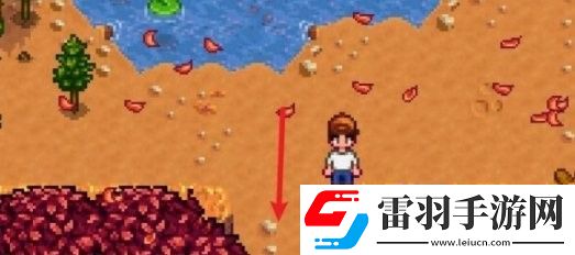 星露谷物语镇长紫色短裤位置在哪