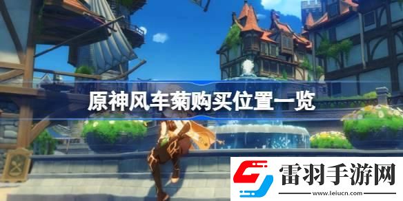 原神风车菊在哪里购买