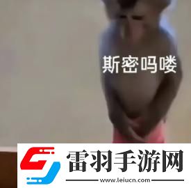 吗喽大王的理想生活