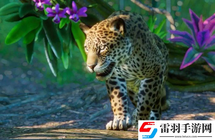 动物园之星南美洲包有什么动物