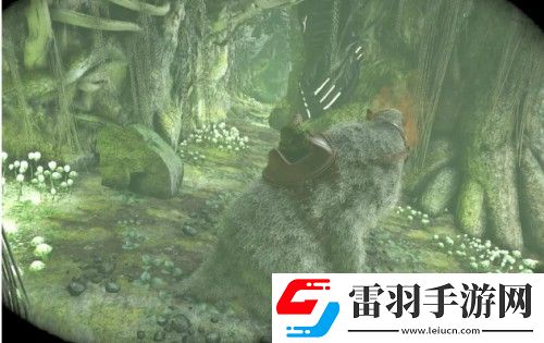 方舟之旅怎么快速升级