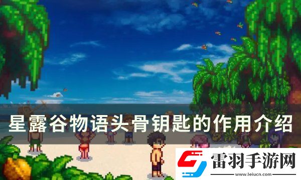 星露谷物语头骨钥匙的用途是什么