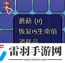 泰拉瑞亚森林地形判定方法详情