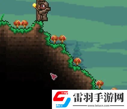 泰拉瑞亚森林地形判定方法详情