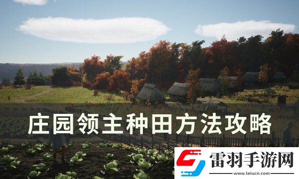 庄园领主怎么种田