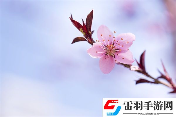 成品网源码78W78