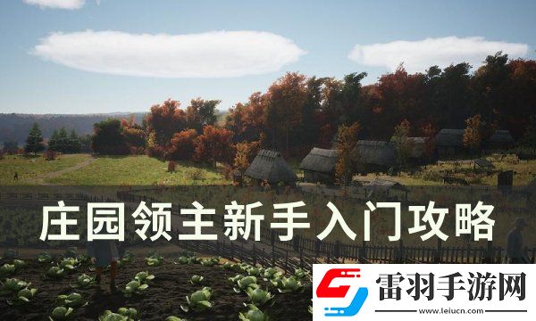 庄园领主新手入门攻略