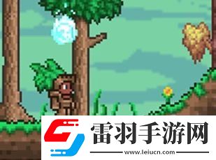 泰拉瑞亚森林地形判定方法详情