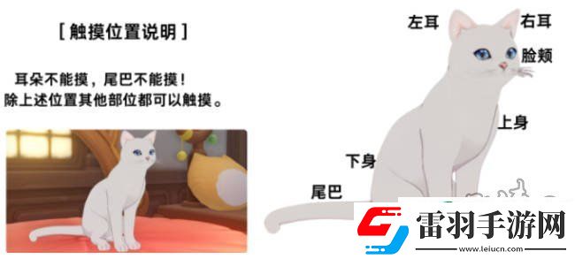 原神阿呆的奇幻乐园攻略