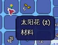 泰拉瑞亚森林地形判定方法详情