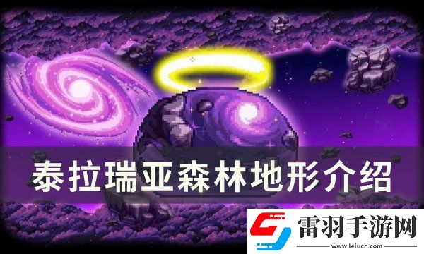 泰拉瑞亚森林地形判定方法详情
