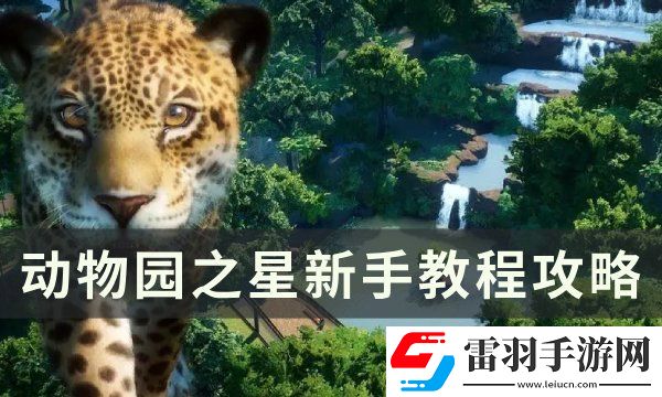 动物园之星新手玩什么模式