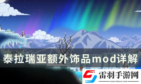 泰拉瑞亚额外饰品模组推荐