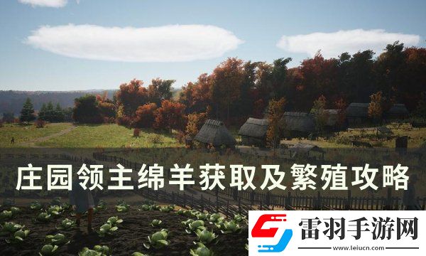 庄园领主绵羊怎么获得