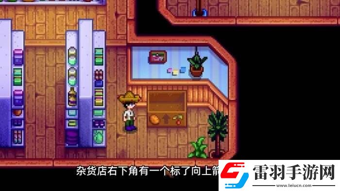 星露谷物语皮埃尔杂货店介绍